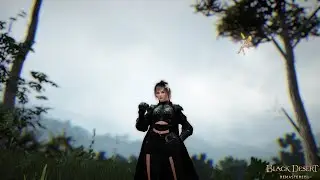 Black Desert | Лес Мирумога соло кач | succession mystic, BDO