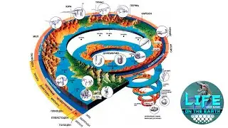 Эволюция человека и гастония  Life on Earth неработающая эволюция