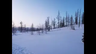 Симфония севера 2021