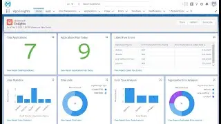 Mule AppInsights on Salesforce (Lightning App)