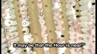 Amazing Recitation 36 Chapter 33 Surah Al Ahzab by Salman Utaybi