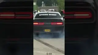 American muscle 🐎