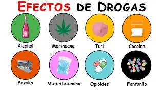 Each Drug and Its Effect Explained (8 Levels of Danger)