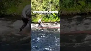 Ежовик гребенчатый #ежовик #ежовикгребенчатый #цель #грибы #фунготерапия #ноотропы #база