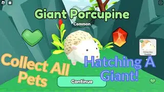 Roblox Collect All Pets | Hatching A Giant Pet!