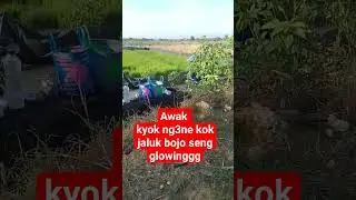 awak kyok ngene kok jaluk bojo seng glowwing