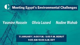 Meeting Egypt’s Environmental Challenges