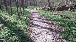 Весна - главное в религии праиндоевропейцев