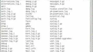logger--0.2.avi