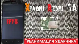 Xiaomi Redmi 5A does not turn on does not charge 