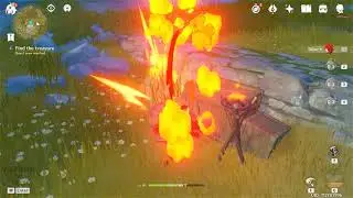 Find the treasure Bug Illumiscreen II Genshin Impact