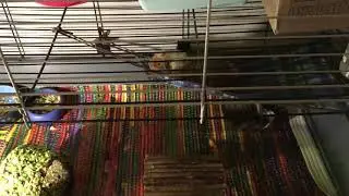 Пабло и Карло