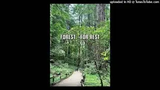 OHIO X DETROIT TYPE BEAT (FOR REST) ​⁠@DtBeatzXSpiritualD