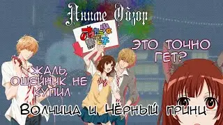 Аниме Обзор Волчица и Чёрный принц ИЛИ моё детство