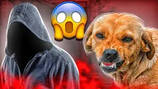 МАЛОЛЕТНИЕ ЖИВОДЕРЫ 3 - МОЯ ИСТОРИЯ