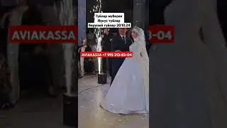 NUKUS TUYLARI #tiktok #youtube beruniy tuylari 25.10.24,AVIAKASSA +7 995 313-83-04