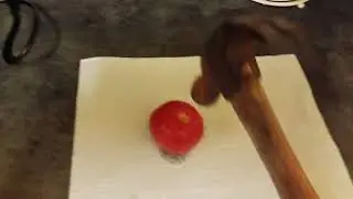 Tomato Murder