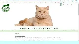 Монополия иностранных питомников кошек в РФ.