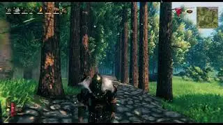 The Beauty of Valheim