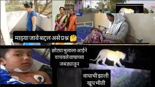 आमच्या इकडे वाघाने पकडले एका छोट्या मुलाला /माझ्या जावेबद्दल असे प्रश्न 🙆