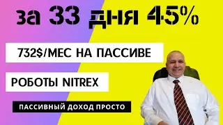 Nitrex, робот дал прибыль за 33 дня 732$ 45%