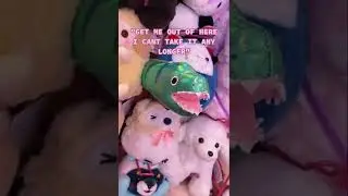 They always have so much to say 😩 #tofucute #plushies #kawaii #plushtoys #kawaiiaesthetic #plush