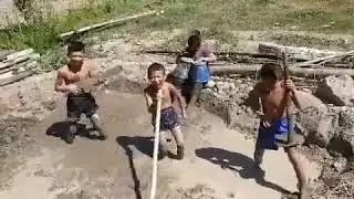 ШУМ БОЛА ТРЕНД