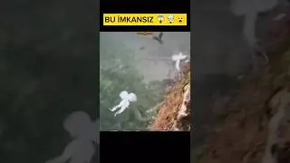 Viral Pokemon bird video 😱😱debunked 😂