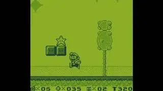 Super Mario Land 2 (GB) : Transformations