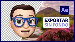 ✅ EXPORT Video or Animation with Transparent Background in AFTER EFFECTS