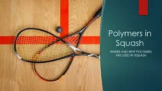Polymers in Squash