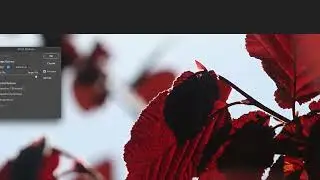 Как сохранить изображение в JPEG в Photoshop