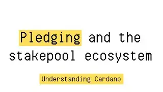 Pledging's MASSIVE impact on the Cardano ecosystem | EP12 | Understanding Cardano