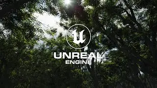 Trees Vol. 4 - Strong Wind Demo - Storm - Sunrise - Unreal Engine 5 - UE5 (4K)