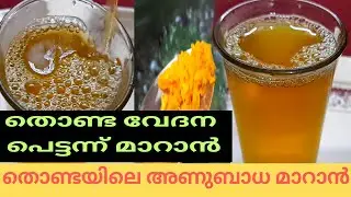 തൊണ്ട വേദന/തൊണ്ടയിലെ പഴുപ്പ് എന്നിവ അകറ്റാം Tonsillitis Malayalam How to treat sore throat at home