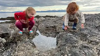 Alaska Spring Clean Up