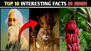 Top 10 mindblowing fact in Hindi // Interesting facts //unique Facts// Amazing facts // unbelievable