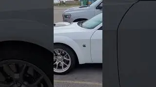 Scat Pack Swinger