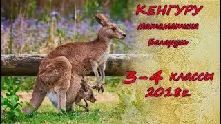 Олимпиада "Кенгуру". 3-4 класс. 2018 г. Подробные решения с советами :)