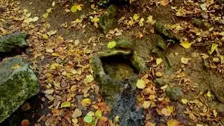 Родник Алим Коба Чокрак (Качиедже нижний) в Алимовой балке