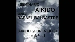 SEMINARIO AIKIDO