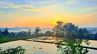 KAMPUNG DIATAS AWAN ❗ menikmati suasana pagi di kampung terpencil sukabumi jawabarat