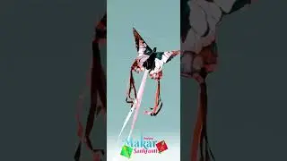 🪁Makar Sankranti Special Status Video | 🪁Makar Sankranti Whatsapp Status |