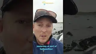 Killer whale stranding in South Africa #orca