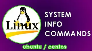 Top 3 Linux Commands to Know About Your System