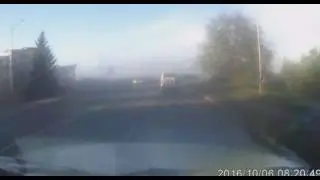 Нежданчик на дороге