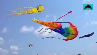 The Benefits Of Kite Flying