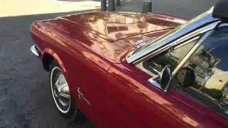 red mustang