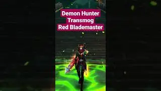 Demon Hunter Transmog 