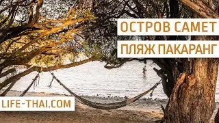 Обзор пляжа Ао Пакаранг на острове Самет